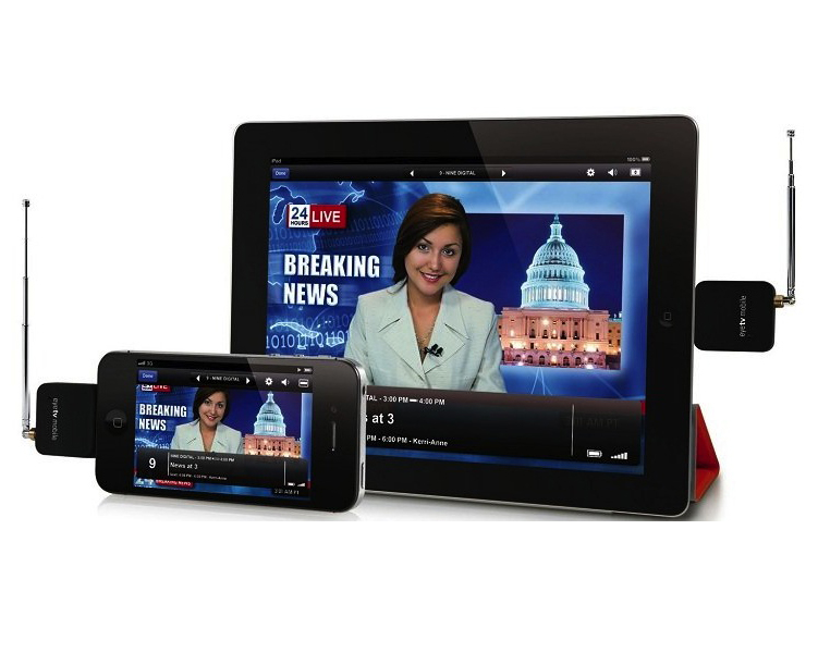 BSDTV Middleware for Mobile Terminals